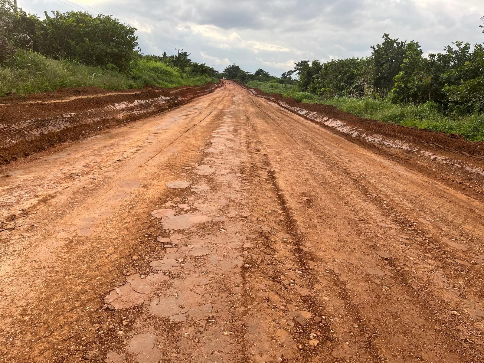 Graded reddish laterite road through vegetation